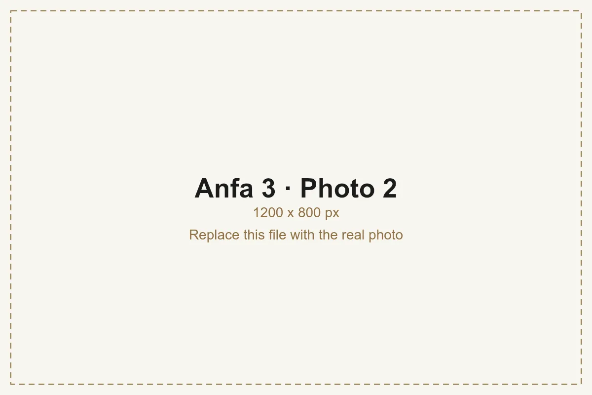 Anfa 3