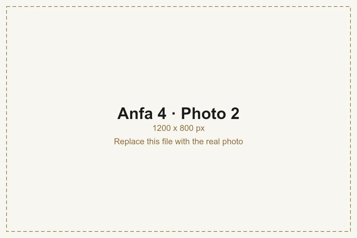 Anfa 4