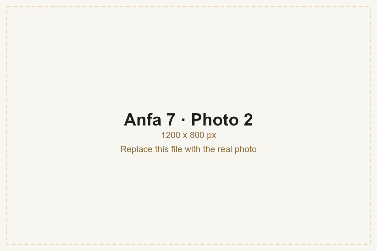 Anfa 7