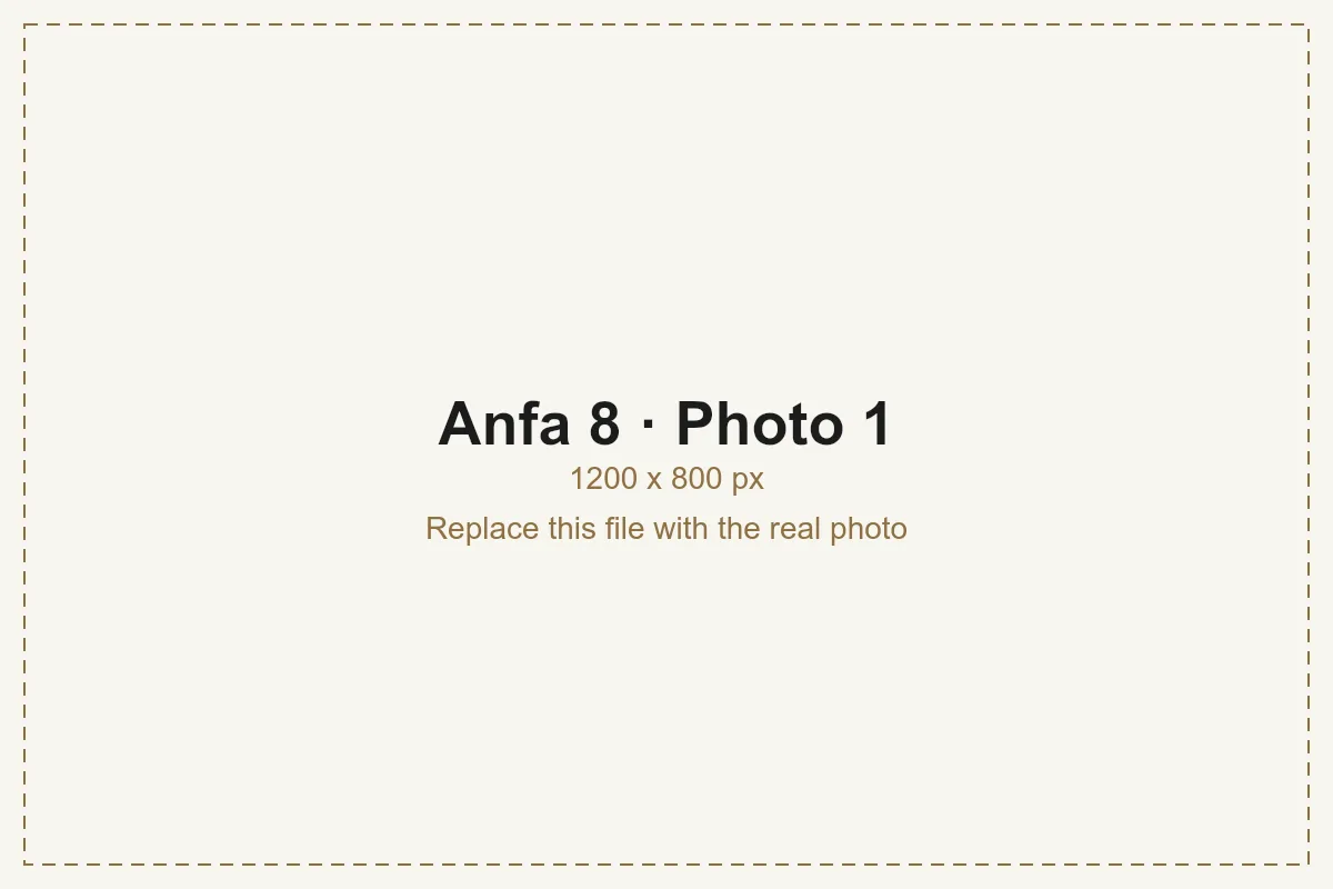 Anfa 8